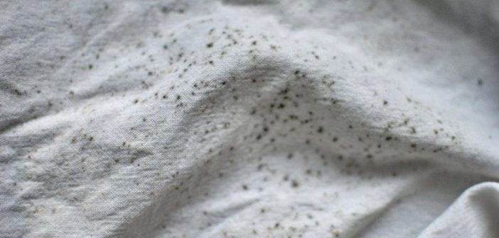 çamaşırdaki küf lekeleri nasıl çıkar