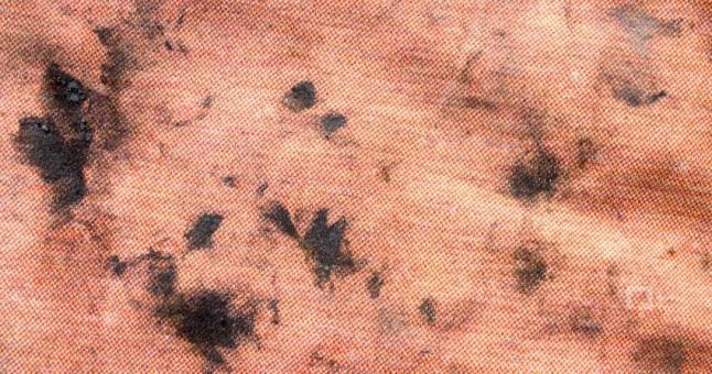 motor yağı lekeleri nası çıkar