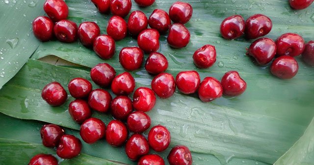 vişne lekeleri nasıl çıkar