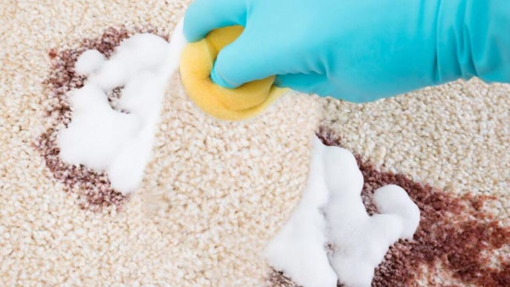 halıdaki lekeler nasıl temizlenir