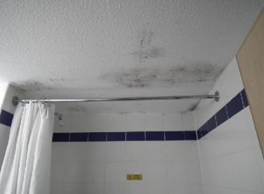 tavandaki küf lekeleri nasıl temizlenir