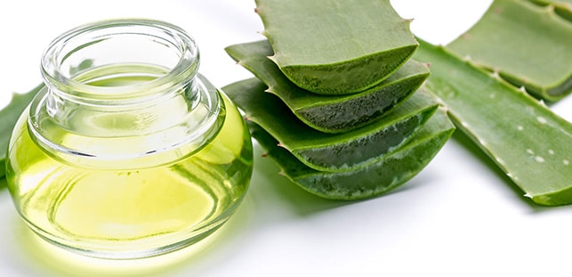 aloe vera faydaları 