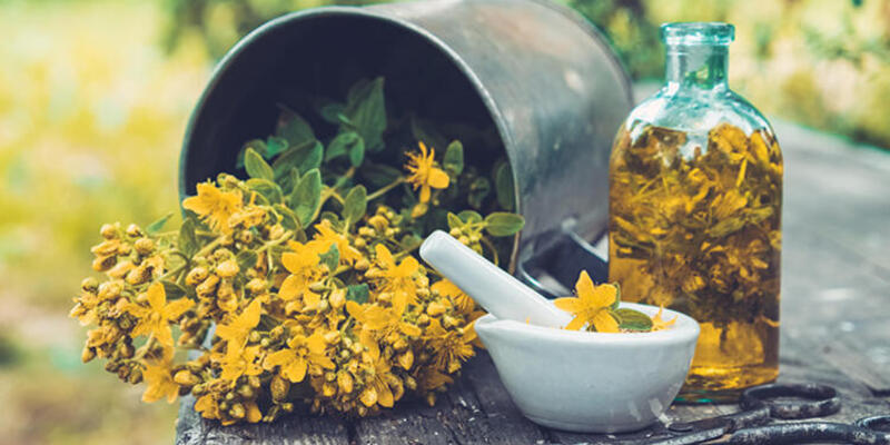 kantaron otunun faydaları nelerdir