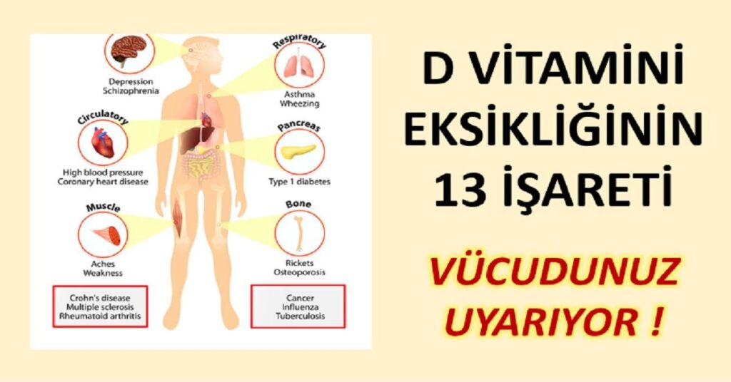 d vitamini nedir