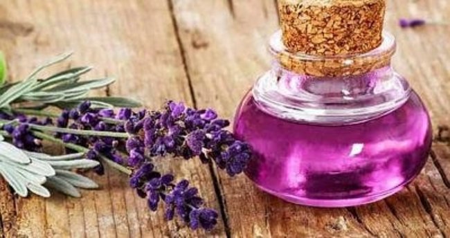 lavanta yağının faydaları