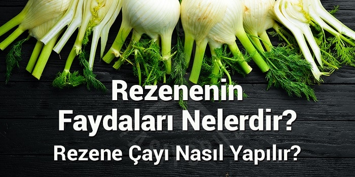 rezene çayının faydaları